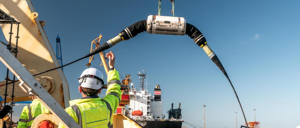 سيربط 3 قارات.. أطول كابل إنترنت في العالم يصل السعودية