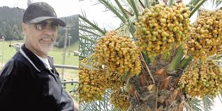 فارس الوقاية من الاشعاع د.جاسم المديرس في ذمة الله