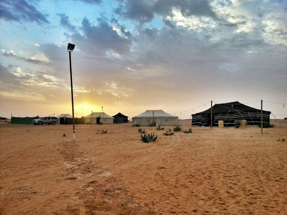 ������ �����ǻ: ������ ��������� �������� 