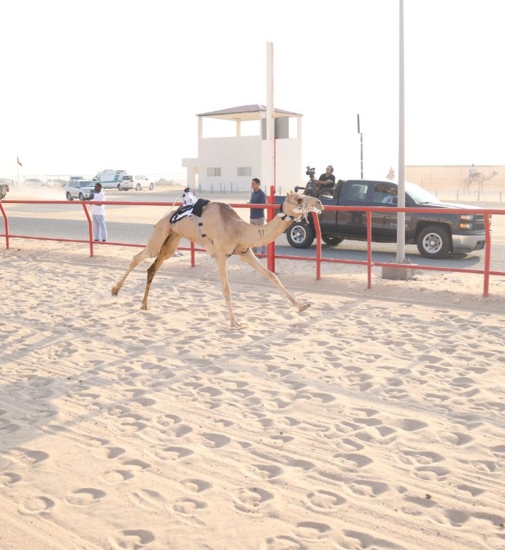 ������ ������� ������ ������� ������ ������ ������� ������� ����� ������ 9 �����