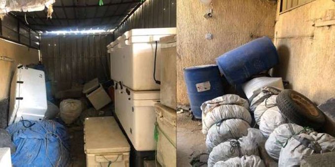 ���� ������� ����� ������� �����