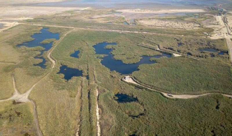 5 ������ �����... ���� ������ 