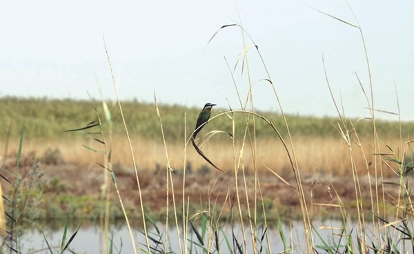 36 ����� �� ������ �������� ��������� ����� �� ������ ��������