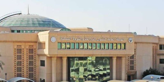 �������ɻ ����� ���� ������� �� ������ ������� ���������� 