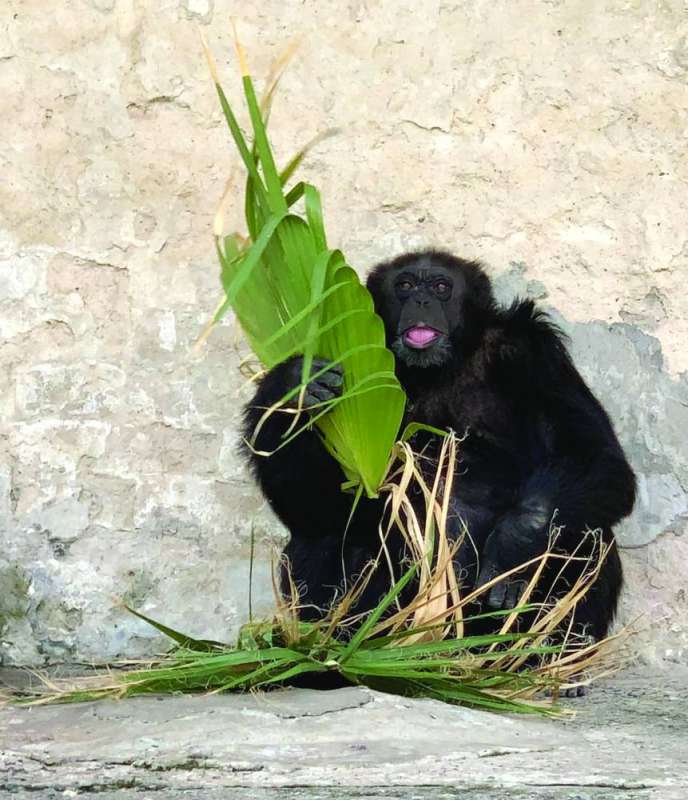 ����� ������� ���� �� ��� ����� �����ϻ