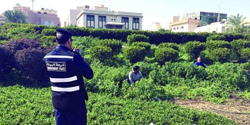 ������ ������ 3 ���� �� 571 ��� 1760 ��������� ����� �� 17 ��� 35 