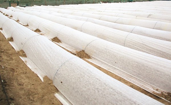 ������ ���� �������� ��������..