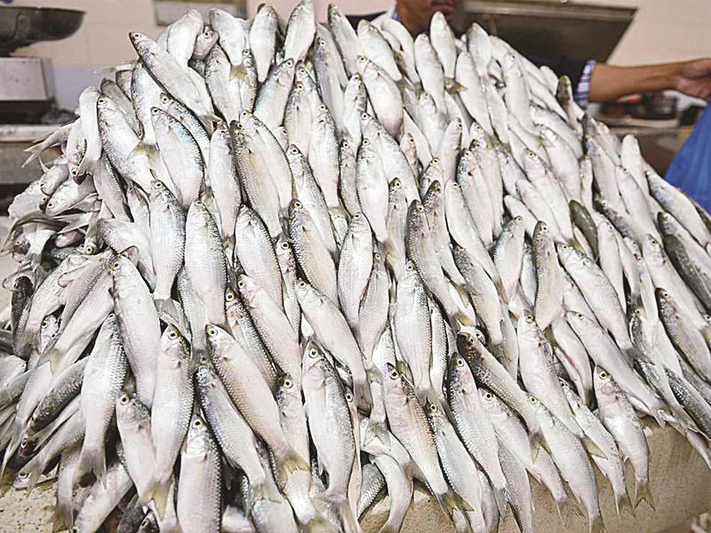 ���� ��� 