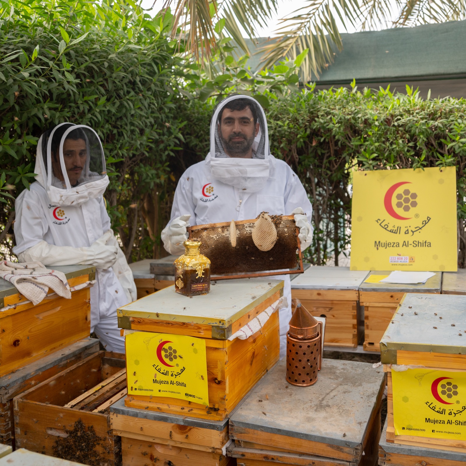 ������ ������� ���� �� ����� ������� ��� �����: ���� ����� ����� �� ����� ���� ����� ������ ��� ������� ��������