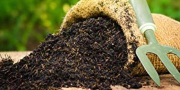 ���� ���˻ ����� �� ����� ��� ������