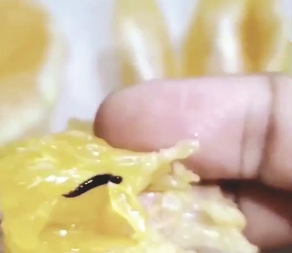 ���� ������ : ������ ������� ����� ���� �� ��������