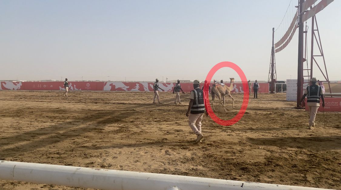 ����� ����� �������� �� ����� ������