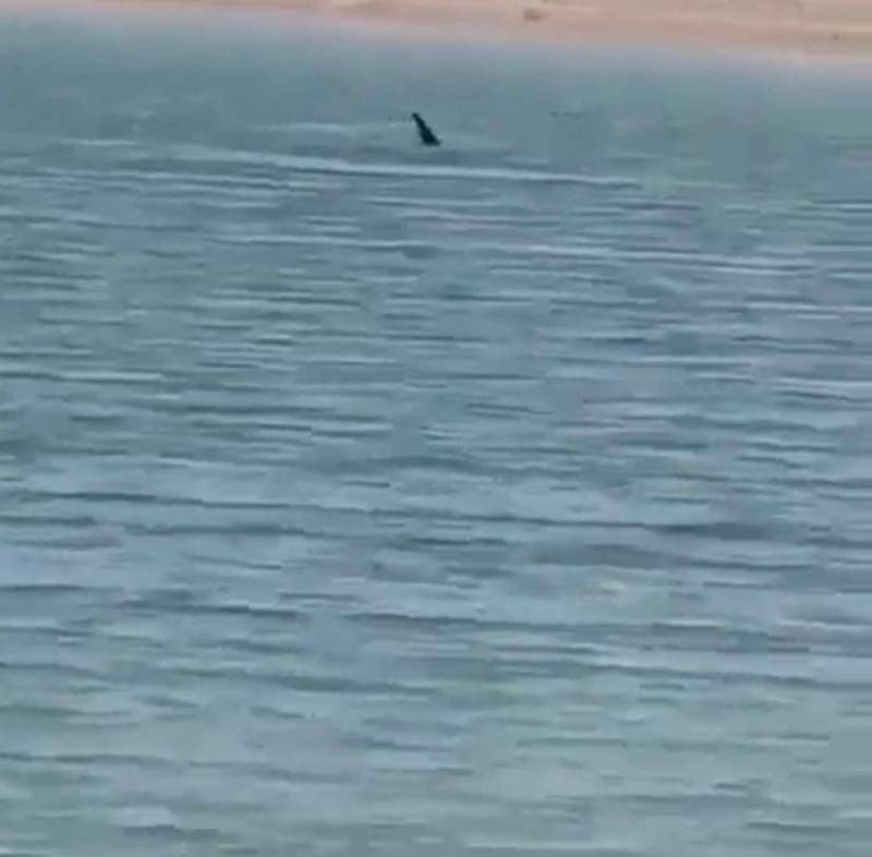 ������ ����� : ��� ����� ��� �� ����� ��� ���� �����