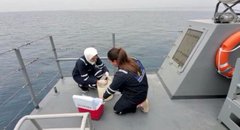 ������ ���� ���� ���� ������ ��� ����� �����