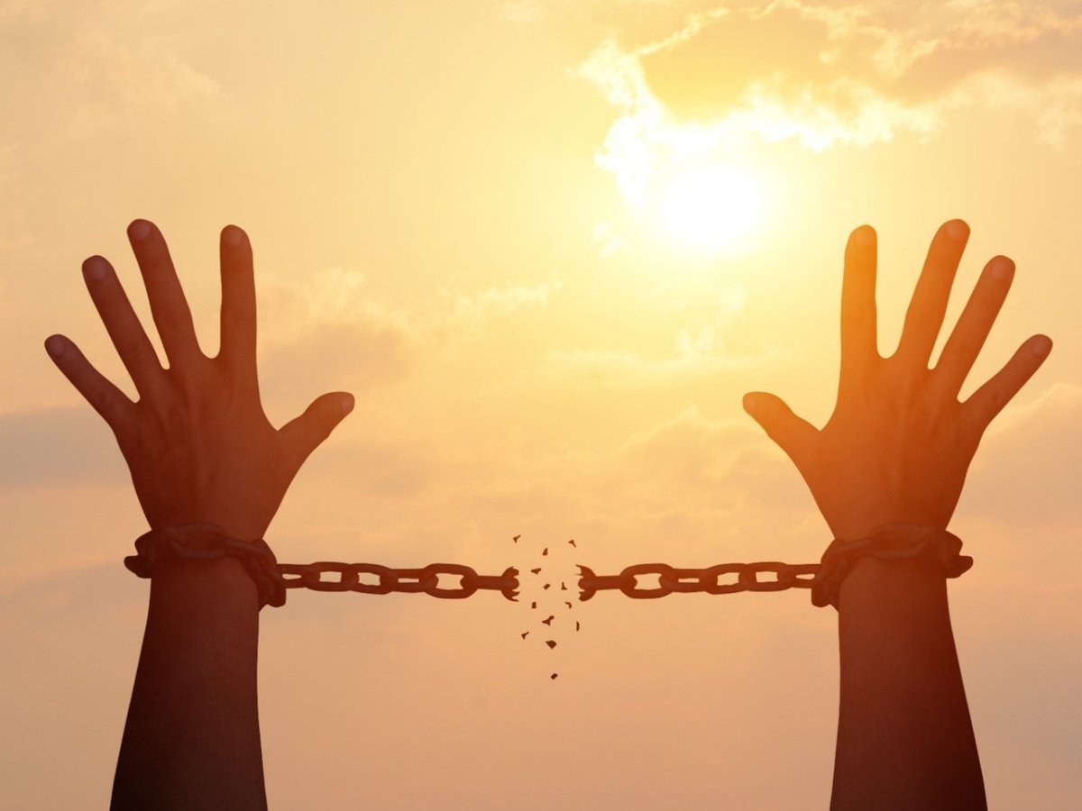 �����: ������� �� 39 ������ ����� 114 ��� �����