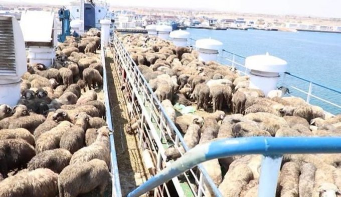 ������� ���������� ����� ����� ������ ���� �������