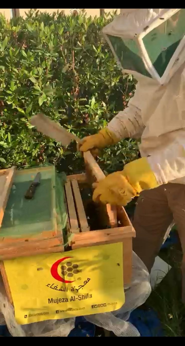 ������� ������� �� 