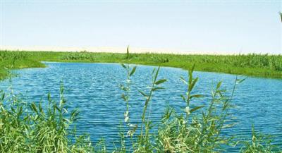 ����� �������.. �������� ������