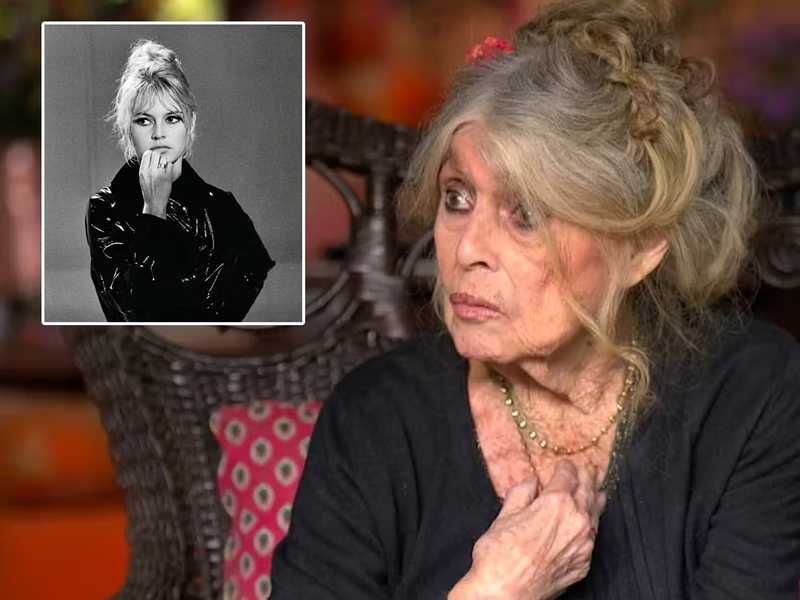 ���� ������ ������� �������� ������ ����� �� 91 �����   