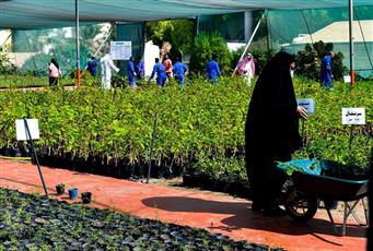 �������ɻ: 75% �� ����� �������ɻ ����� ������