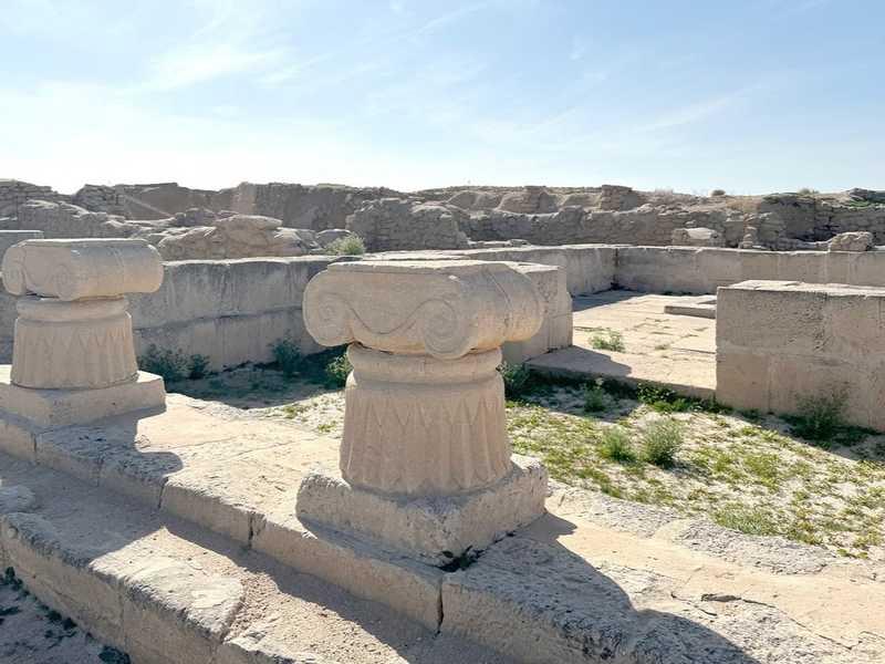 �����ǻ .. ���� ����� ������� ��������   