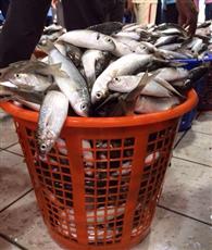 ���� ��� �����.. ���� �����