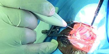 ���� ��� ����� �� ������ ����� ���������� ���� �����  