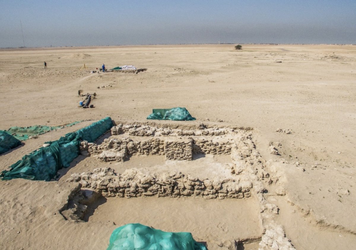 ������ ���� ���� �� ������ ��ʻ �� �����ǻ