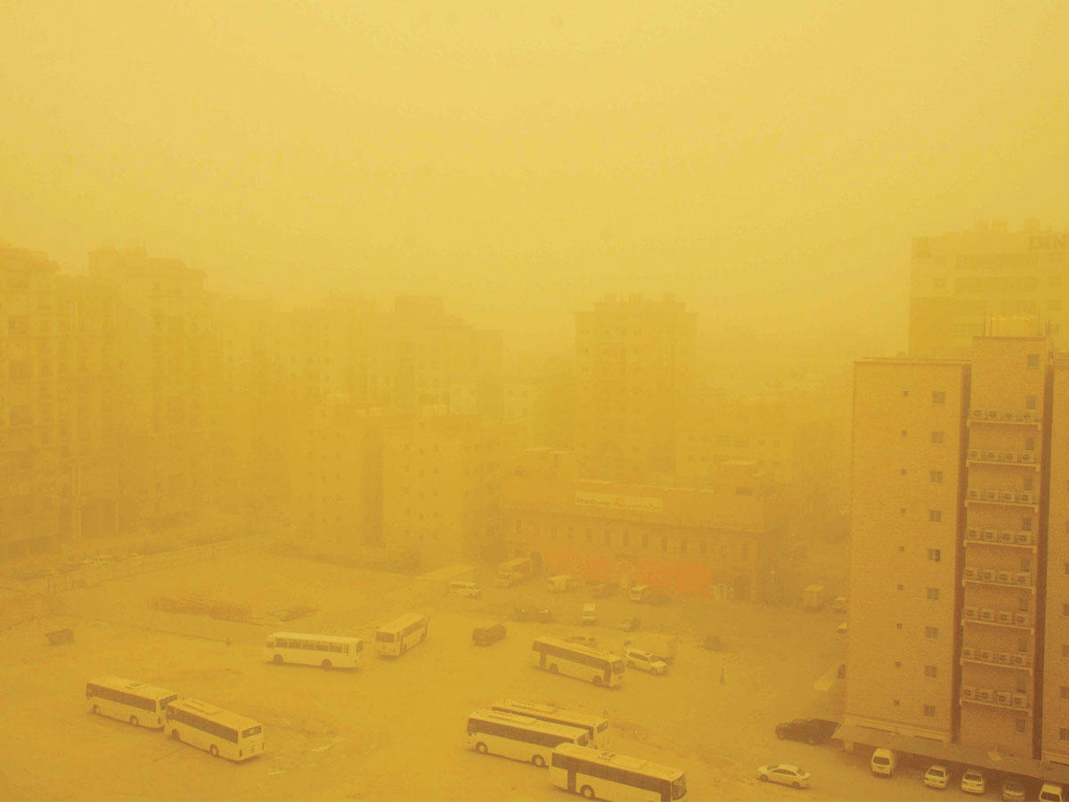 �������ϻ: ����� ��� ���� ������� ��������.. ������ ������ ��� ��� �����