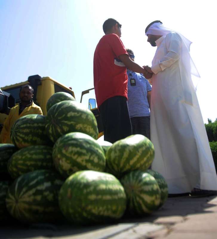 ���� ���� ������ �������� 