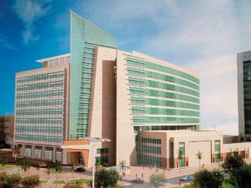 ���� ���� ������ ������ ������