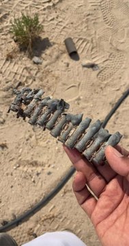 ������ ��� ����� ������ �� �� �������