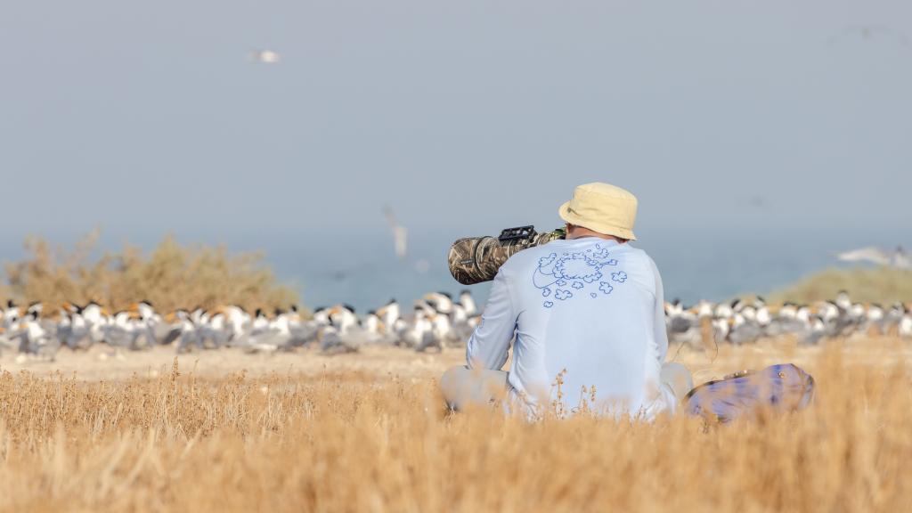 ������ �����ѻ ���� �������� ������ ���