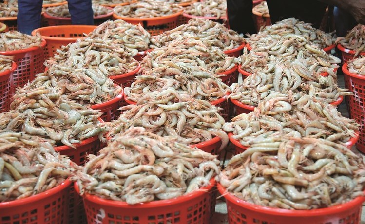 ���� �������: �� ��� ������ ������ ���� ��� �������� 