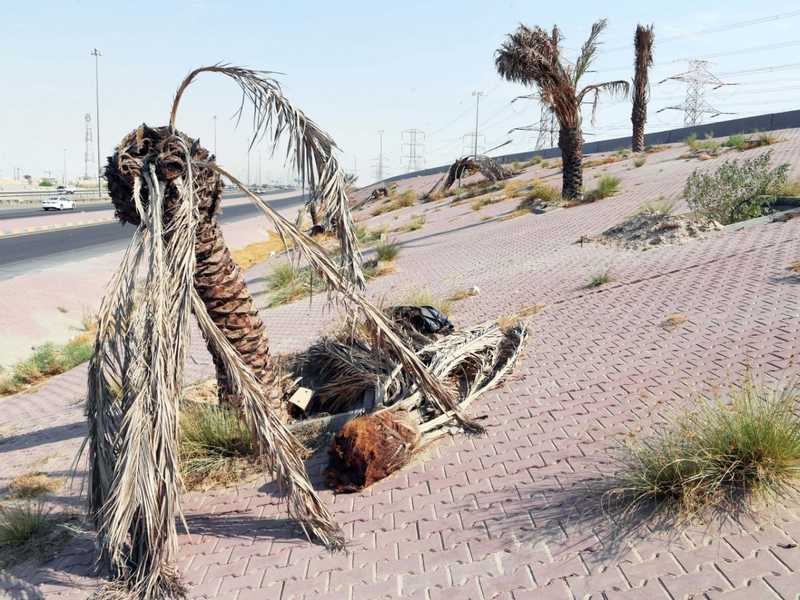 ��� ������ �� �����.. ������